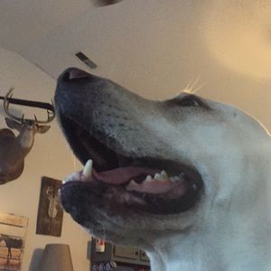 Meet your Posher, Riya